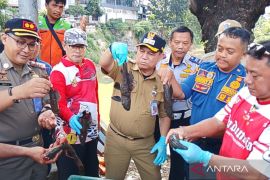 KPKP Jaktim dorong penangkapan ikan sapu-sapu di setiap kecamatan