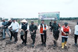 Pemkab Banyuasin optimalkan Lahan Cetak Sawah Rakyat guna perkuat ketahanan pangan