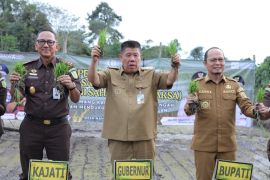 Gubernur Babel segera perluas tanam padi "Jaksa Mandiri Pangan"