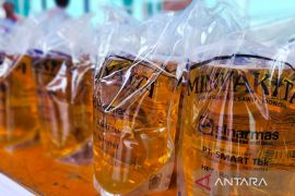 Bulog Natuna prioritaskan penyaluran minyak goreng lewat skema DMO di area SP2KP