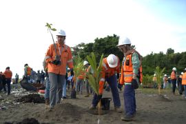 Hari Bumi 2026, PT Vale tanam pohon di Morowali