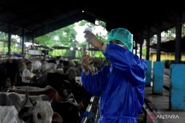 Pemkab Bekasi terjunkan 32 personel pengawasan untuk periksa hewan kurban