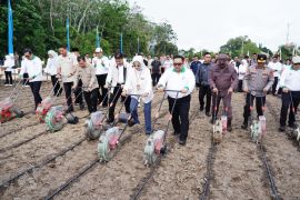 Perkuat sinergi dengan petani, Pusri hadiri temu kader dan pelantikan HKTI se-Jambi
