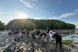 Bandara Banyuwangi tanam seribu bibit mangrove peringati Hari Bumi