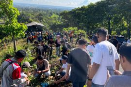 Hari Bumi, ASN dan warga Situbondo tanam 20 ribu bibit pohon