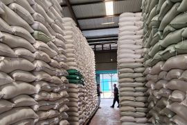 Bulog Maluku-Malut lampaui target pengadaan beras capai 104,32 Persen