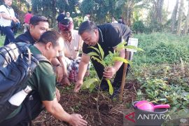 Pemkab Gianyar minta OPD siapkan pohon untuk dukung hutan kota