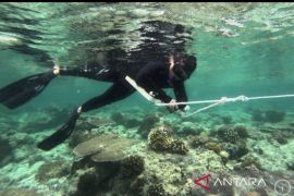 Kaltim perkuat tata kelola kawasan konservasi laut