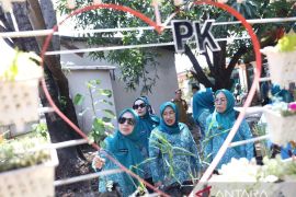 TP PKK Makassar bekali kader manfaatkan pekarangan produktif