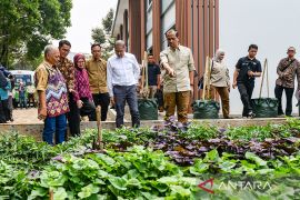 Konsumsi ubi jalar agar tubuh menyerap vitamin A secara optimal