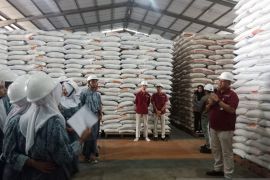 Bulog Belitung edukasi siswa peran strategis jaga pangan nasional