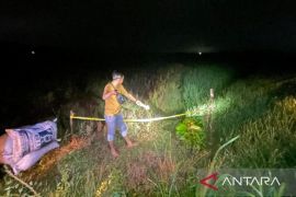 Petani Blora ditemukan tewas di sawah