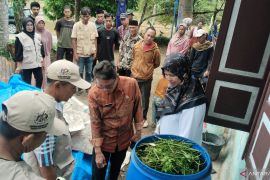Petani terdampak bencana di Padang Pariaman dapat pelatihan agroekologi wujudkan kedaulatan pangan