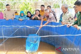 TP-PKK Sigi panen ikan nila bioflok guna intervensi stunting