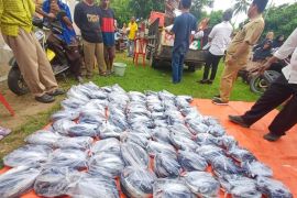 Donggala salurkan ikan segar di desa terpencil cegah stunting