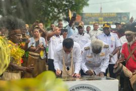 Wamendes PDT sebut pemerataan pembangunan Papua Selatan perlu didorong bersama