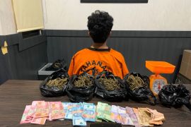 Polisi tangkap mahasiswa di Pangkalpinang terkait peredaran 410 gram ganja
