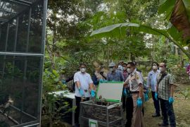 BKSDA lepas liarkan 942 burung hasil penertiban