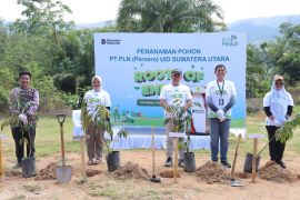 PLN tanam 4.000 pohon di Tapanuli Tengah percepat pemulihan lingkungan