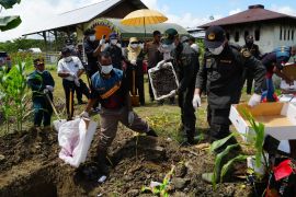 Karantina Papua musnahkan 4,19 ton komoditas pangan tidak layak konsumsi