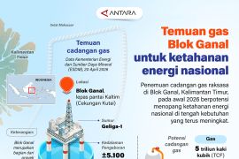 Temuan gas Blok Ganal untuk ketahanan energi nasional