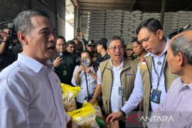 Mentan tegaskan tak ada kenaikan harga beras meski isu biaya kemasan