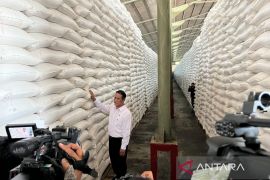 Tidak ada kenaikan harga beras, menurut Mentan