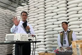 Mentan: Cadangan beras pemerintah di Bulog sentuh 5,19 juta ton