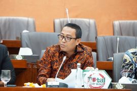 Anggota DPR meminta masyarakat menengah atas dukung ketahanan energi