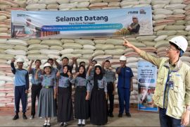 Bulog Cabang Rejang Lebong Bengkulu serap 1.187 ton beras petani lokal