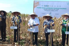 Baznas Indonesia perkuat ketahanan pangan di Lombok Timur