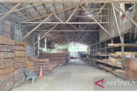 Balai Gakkum LHK Kalimantan bongkar perdagangan kayu ilegal antarpulau