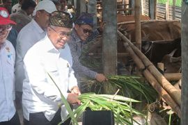 Ketua BAZNAS cek capaian program Balai Ternak di Lombok Tengah