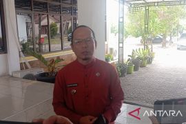 Bupati Bangka Tengah: Perkuat peran ayah lindungi anak dari kekerasan