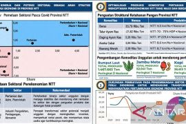 BI : Penguatan ketahanan pangan jadi kunci pertumbuhan ekonomi NTT