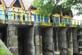 Aceh Besar targetkan tanam musim gadu seluas 17.561 hektare