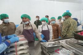 Mendukbangga: Program MBG upaya antisipasi keluarga berisiko stunting