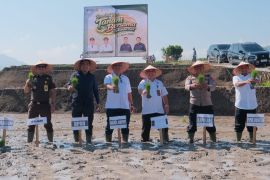 Sinergi Pupuk Indonesia bersama Forkopimda tingkatkan produktivitas pertanian di Dairi