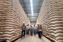 Bulog Indramayu menghadirkan eduwisata kenalkan rantai pasok beras