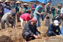 Pemkab Temanggung gelar tradisi wiwit tanam tembakau di lereng Gunung Sumbing