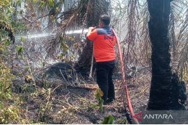 BNPB: Tiga unit damkar berjibaku padamkan api di lahan gambut di Aceh