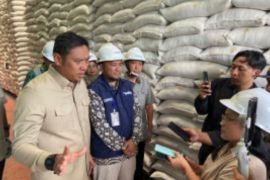 Wamentan: Stok Beras RI Tembus 5 Juta Ton Tertinggi Sepanjang Sejarah