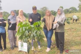 Pemkab Bekasi tanam 1.000 bibit pohon di area sempadan Kali Cikarang untuk jaga ekosistem lestari