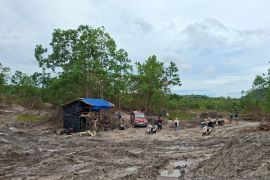 Polda Babel tertibkan tambang timah ilegal di hutan produksi Belinyu