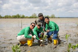 Pelabuhan Sehat Bandar Bentan Telani tanam 1.000 bibit bakau untuk perkuat ketahanan pesisir