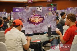 Dari turnamen ke liga profesional, Domino Indonesia siapkan panggung besar 2027