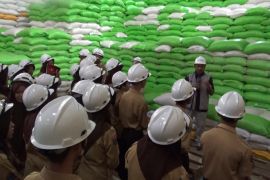 Bulog Sultra edukasi pelajar jadi generasi sadar ketahanan pangan