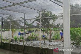 Lapas Narkotika Samarinda garap ekosistem MBG