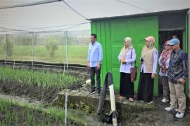 Pemkab Barito Utara kaji tiru ke Nganjuk perkuat inovasi pertanian