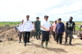 Ditjen Lahan dan Irigasi tinjau program cetak sawah di Merauke